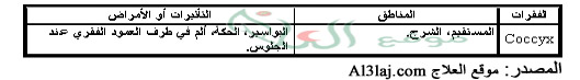 الحجامة على الفقرات العصعصية (Coccygeal)