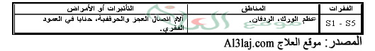 الحجامة على الفقرات العجزية (Sacral)