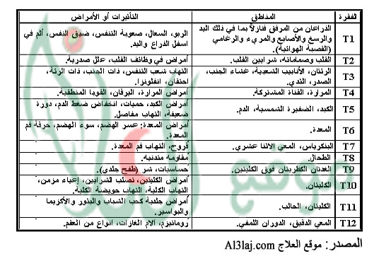 الحجامة على الفقرات الصدرية (Thoracic)