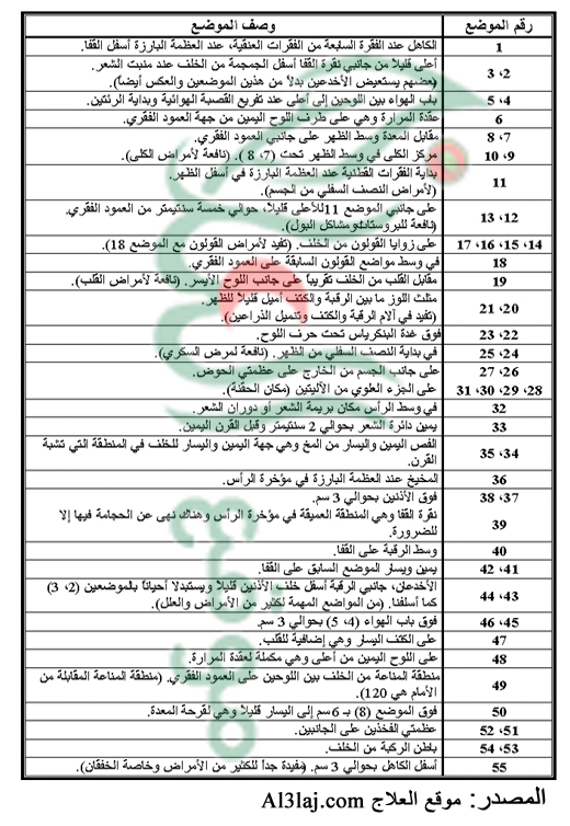 شرح مواضع الحجامة على الظهر